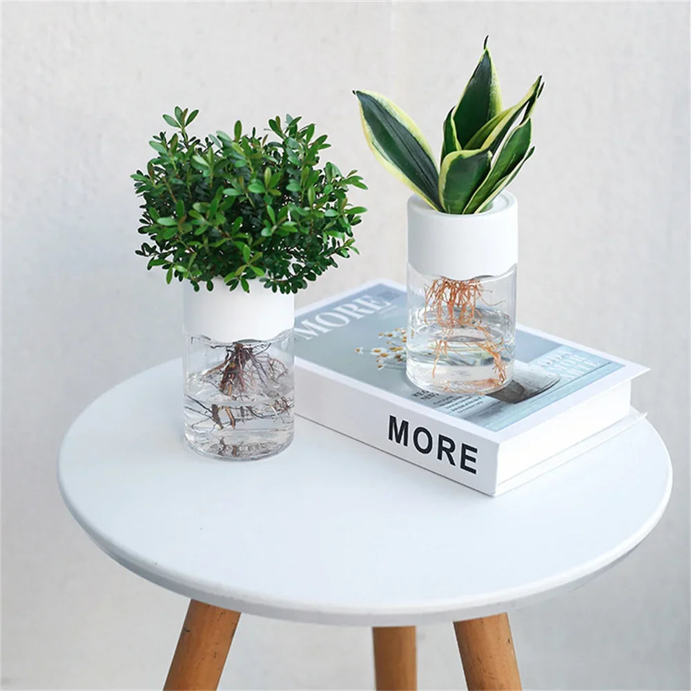 Mini Glass Propagation Vases — Set of 3