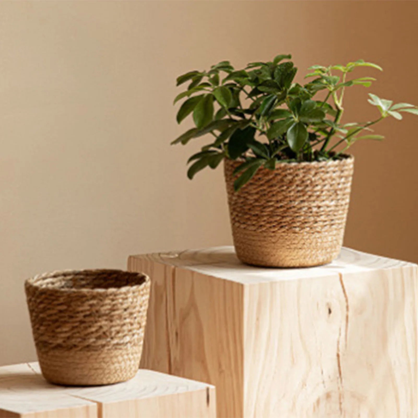Handwoven Straw Wicker Planter Basket — Natural