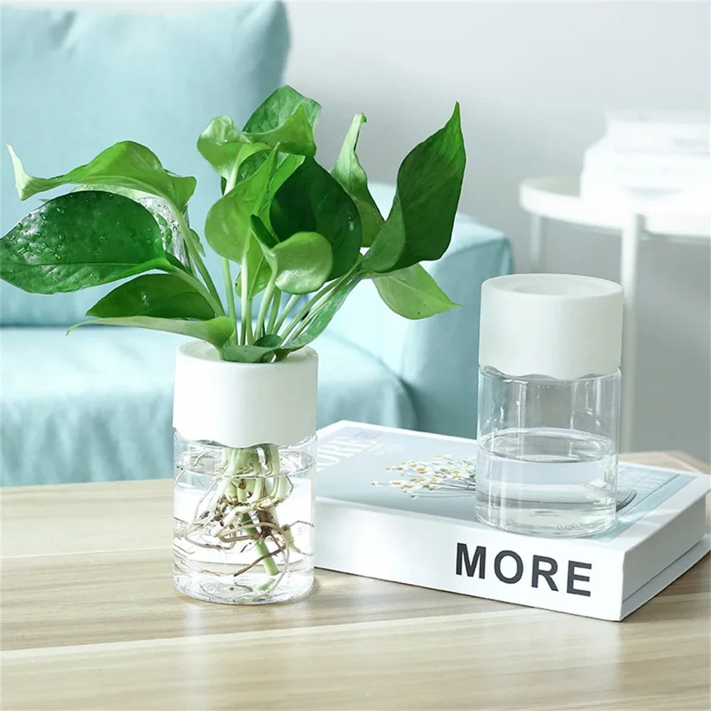 Mini Glass Propagation Vases — Set of 3