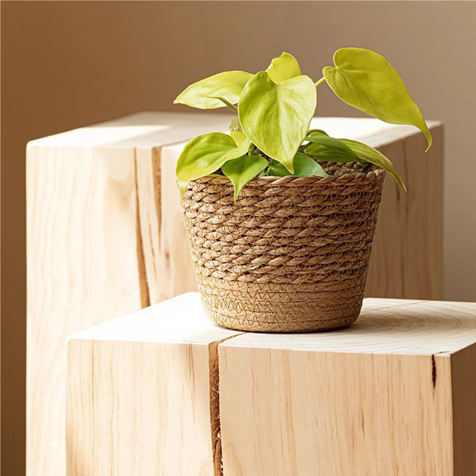 Handwoven Straw Wicker Planter Basket — Natural