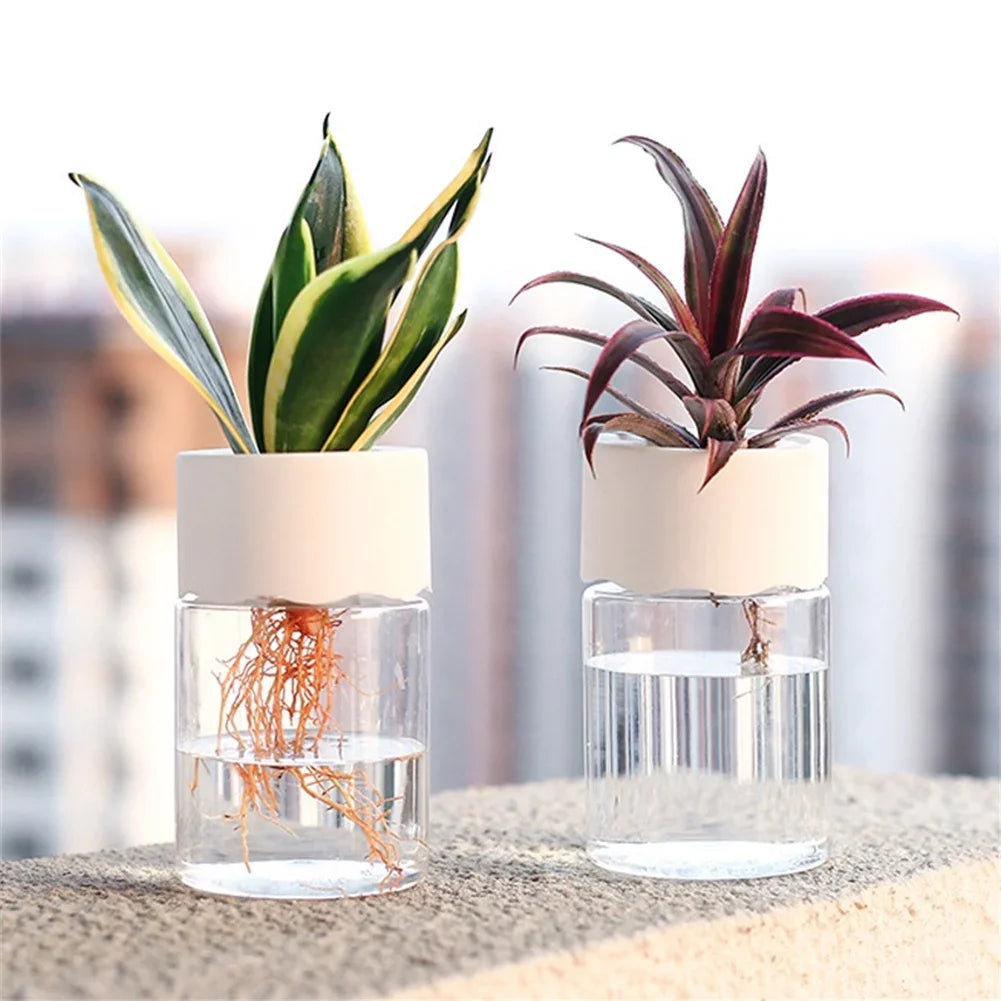 Mini Glass Propagation Vases — Set of 3