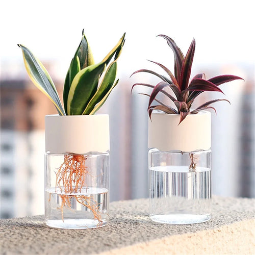 Mini Glass Propagation Vases — Set of 3