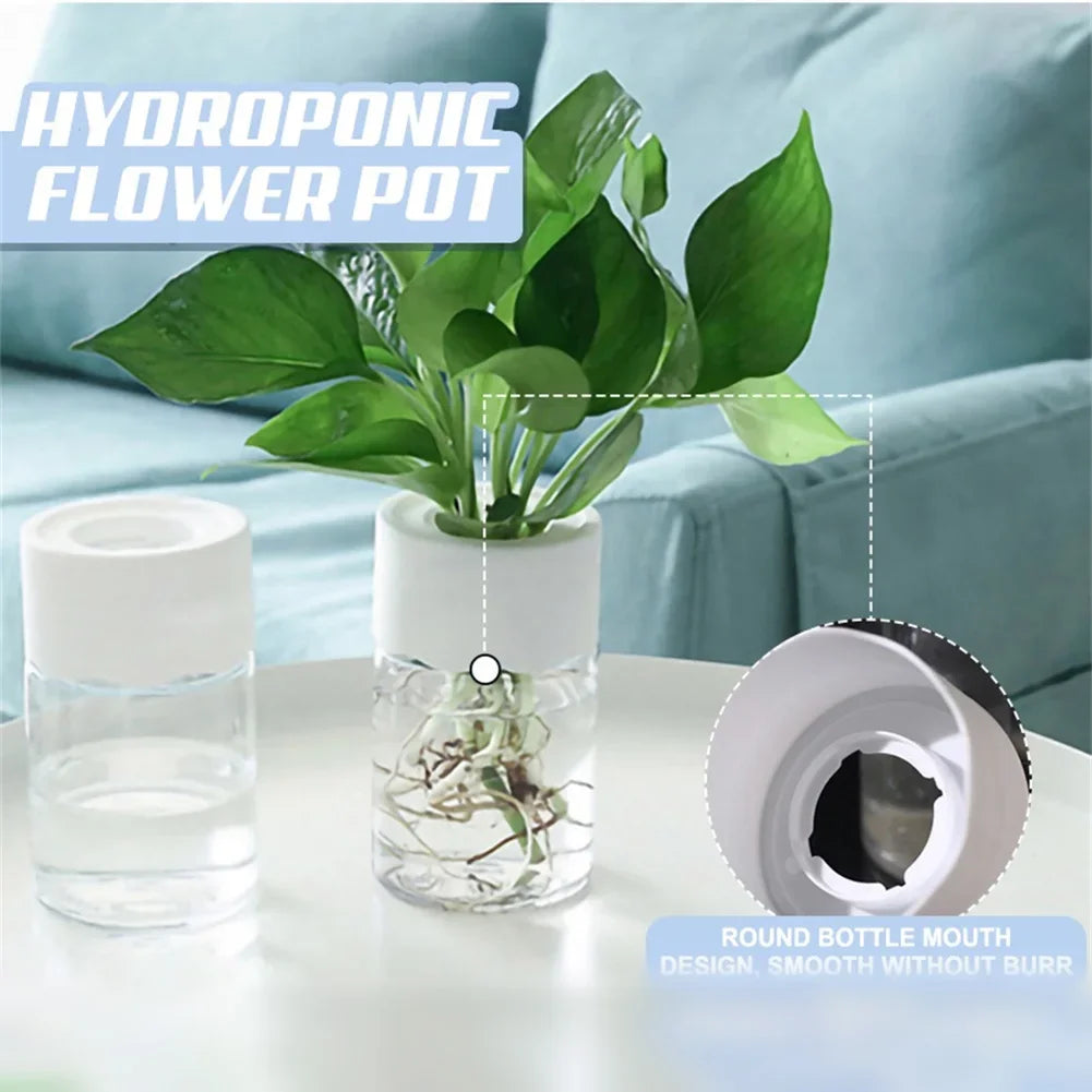 Mini Glass Propagation Vases — Set of 3