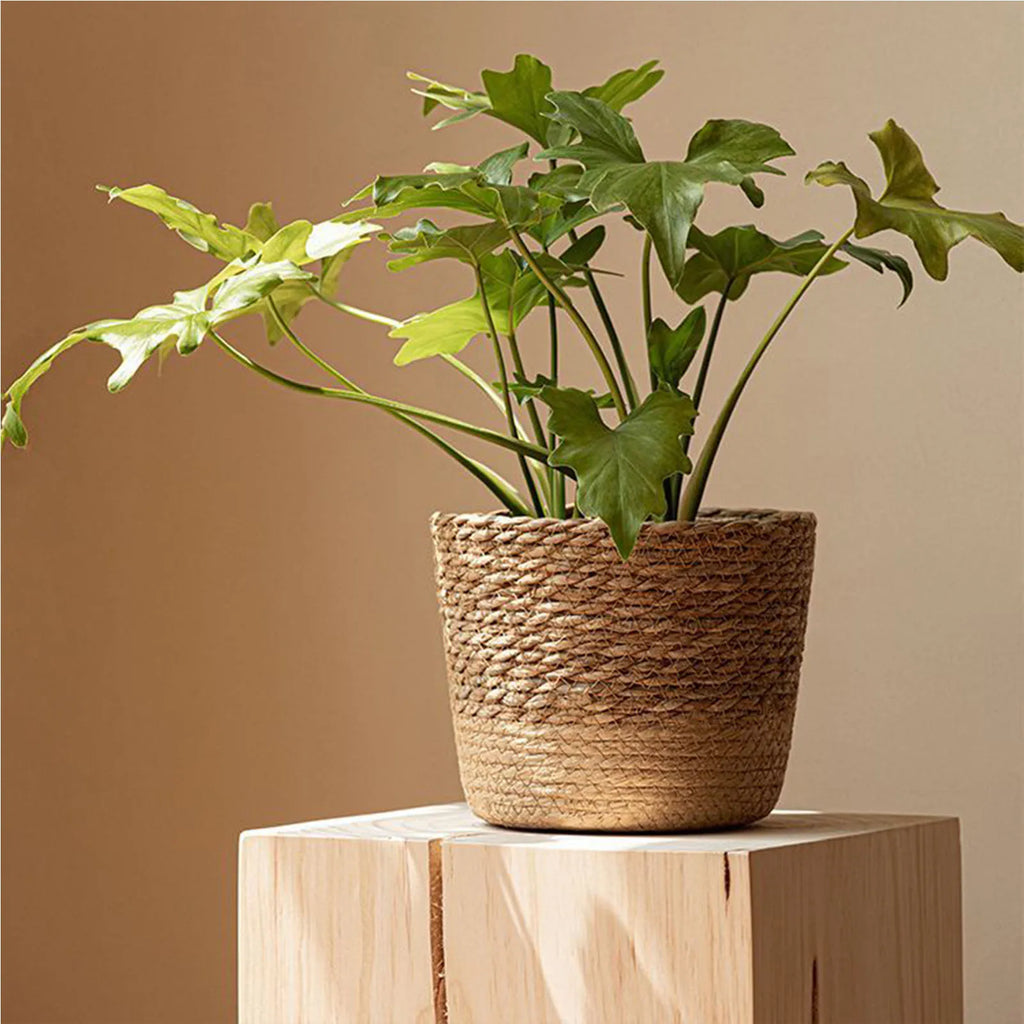 Handwoven Straw Wicker Planter Basket — Natural