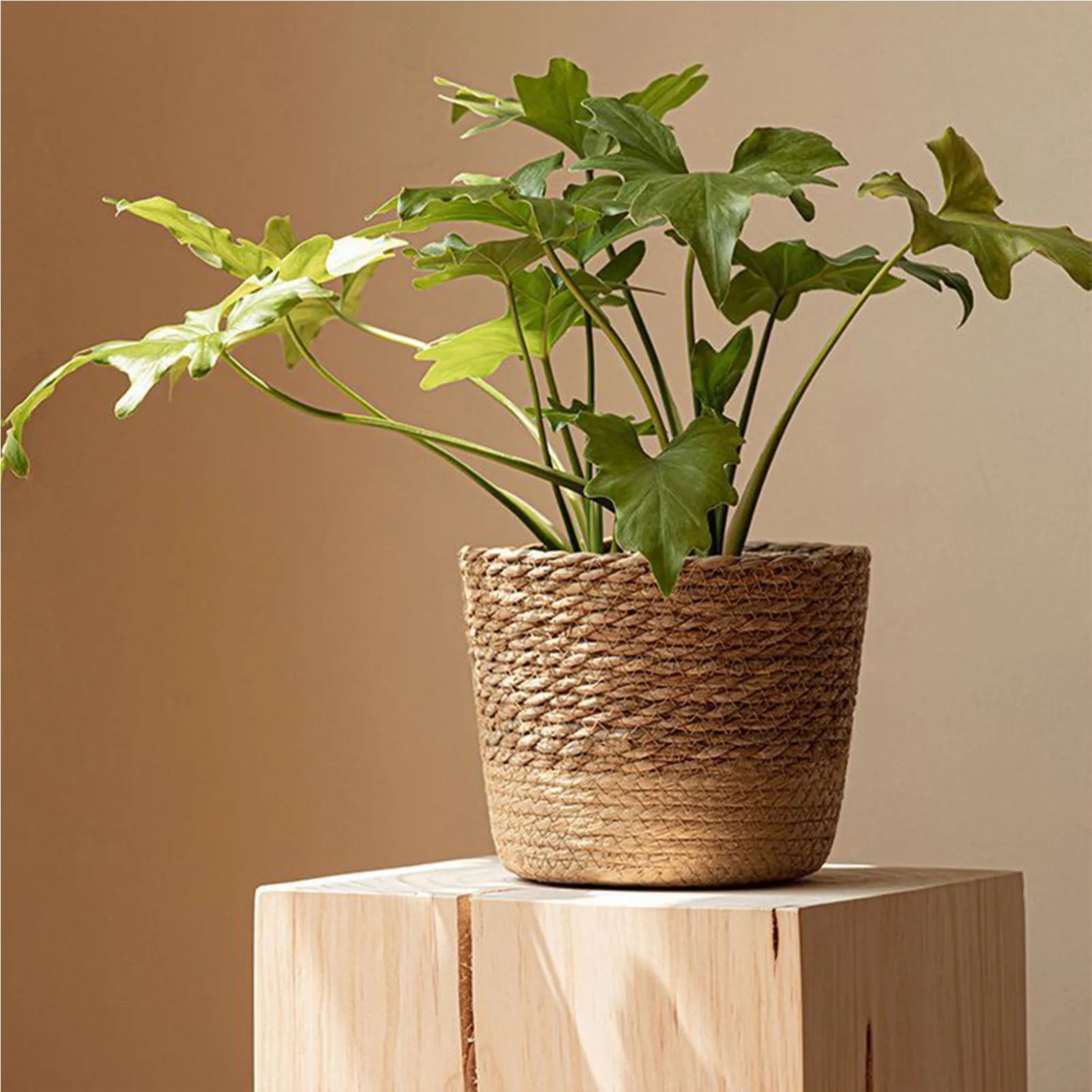 Handwoven Straw Wicker Planter Basket — Natural