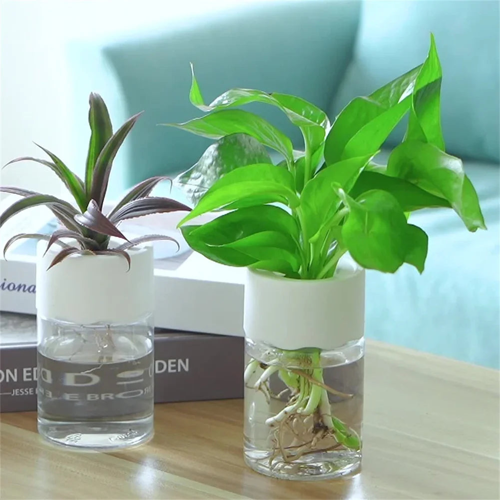 Mini Glass Propagation Vases — Set of 3