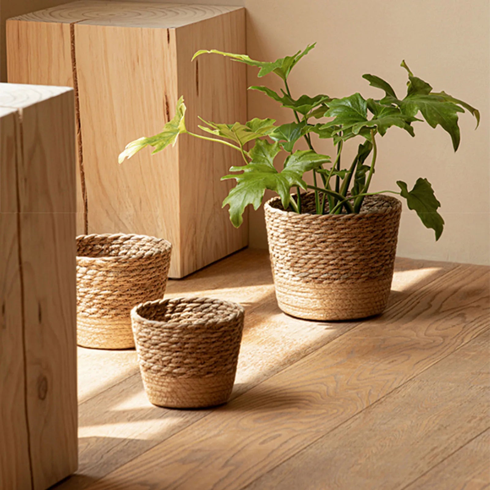 Handwoven Straw Wicker Planter Basket — Natural